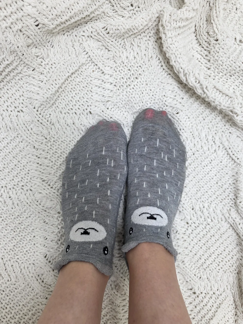 Cozy Grey Bear Ankle Socks WW